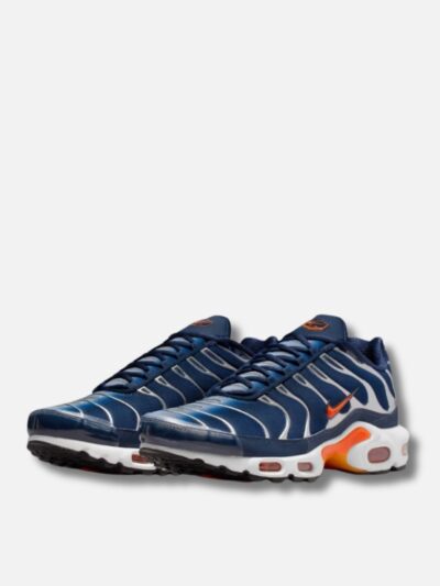 Обувки Nike Air Max Plus TN Ashen Slate